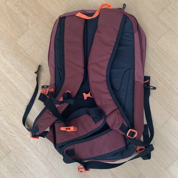 Рюкзак DAKINE Womens Mission Pro 18L burnt rose.