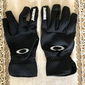 Гірськолижні рукавиці Oakley L